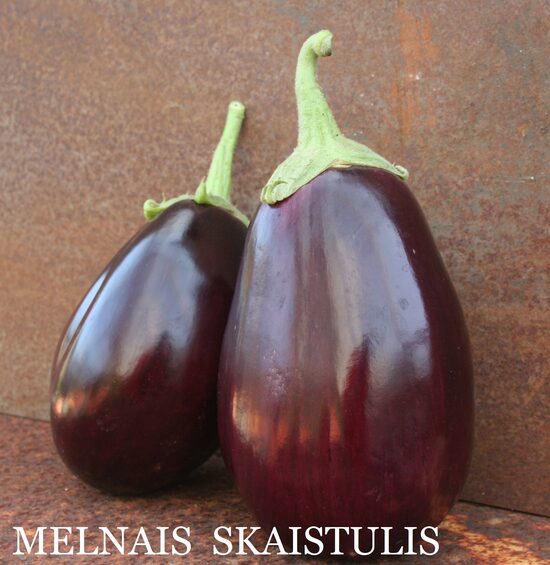 Melnais skaistulis  (baklažānu sēklas)